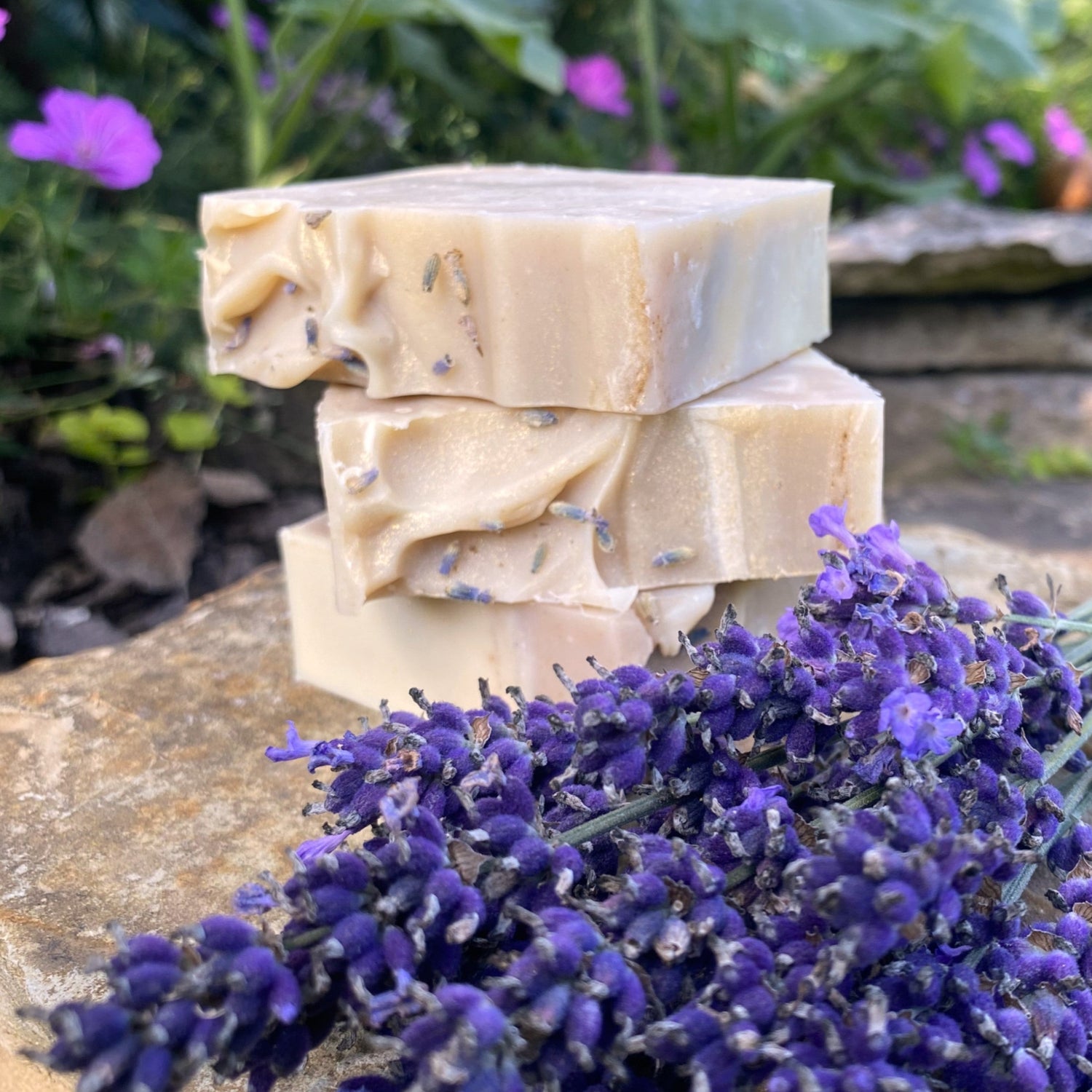 Lavendelseife mit Rügener Heilkreide