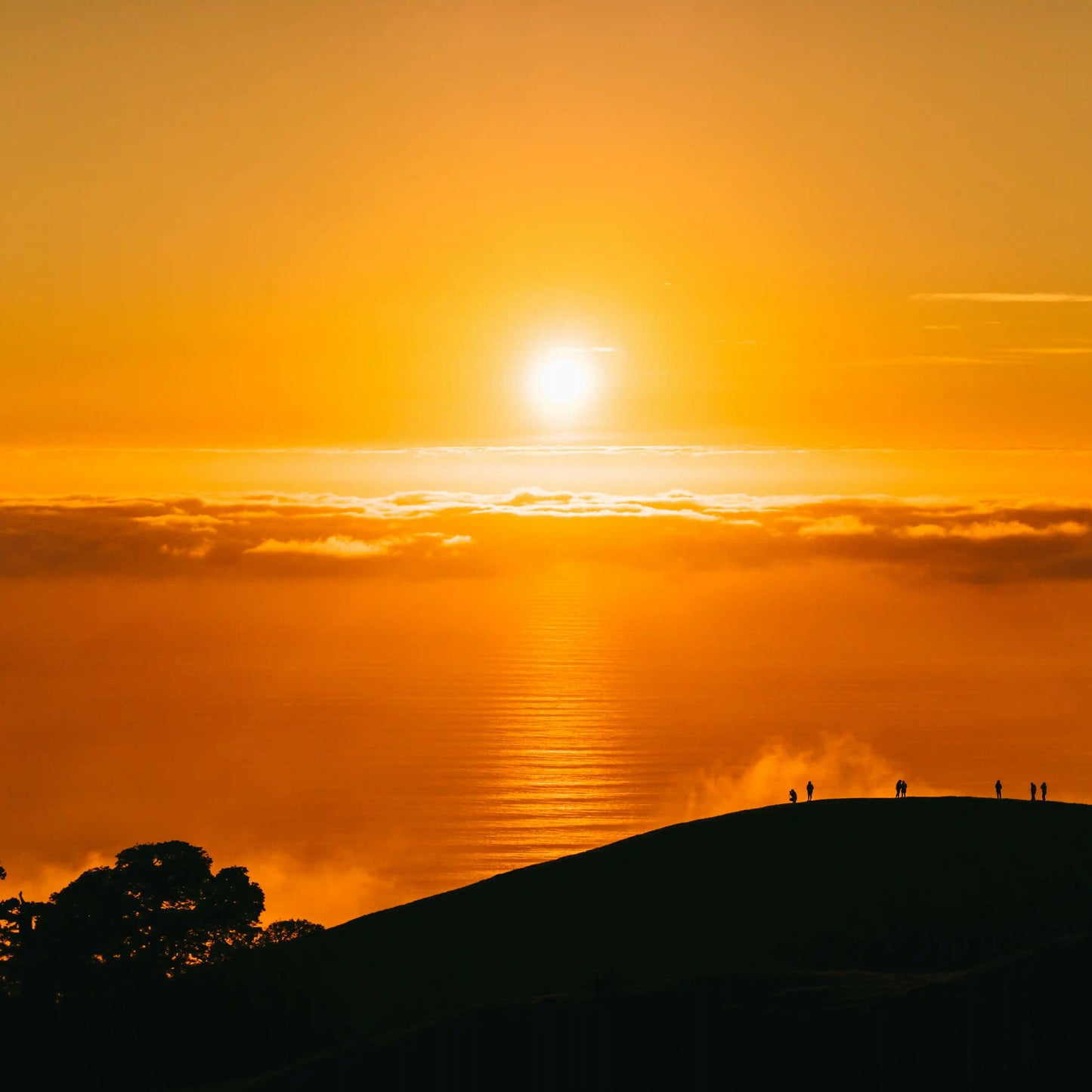 Orangenseife "Sunrise"